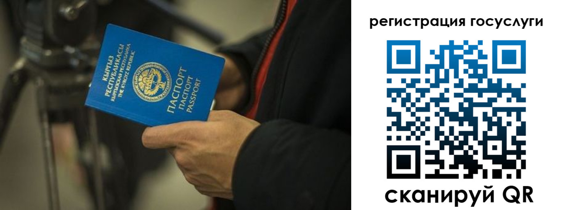 регистрация в Тынде